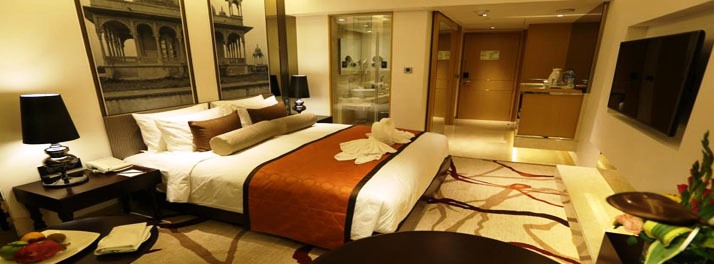 1242/The Pride Plaza Hotel - New Delhi 15.jpg